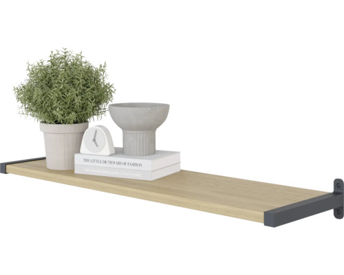 Wandplank met decoratieve elementen zoals potplant, klok, boeken en schaal
