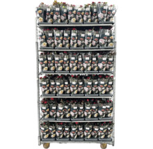 Bloemen transportwagen met rozen