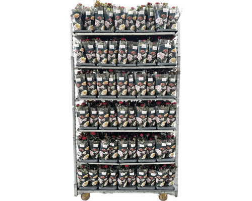 Bloemen transportwagen met rozen