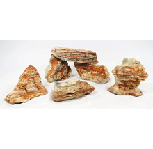 Decoratieve versteende objecten voor aquariumdecoratie