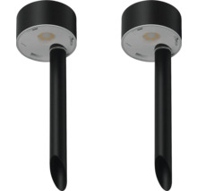 Twee zwarte tuinlampen met grondspie