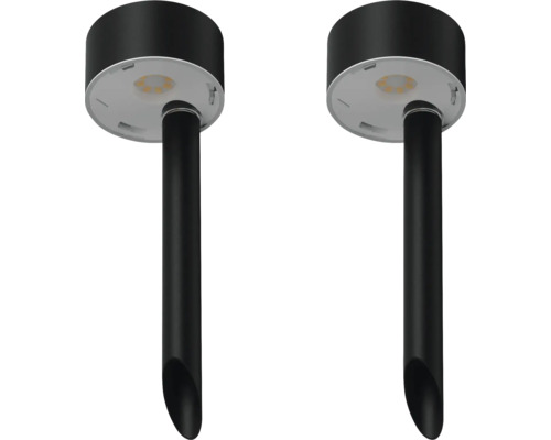 Twee zwarte tuinlampen met grondspie