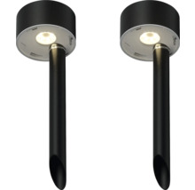 Twee zwarte tuinlampen voor padverlichting