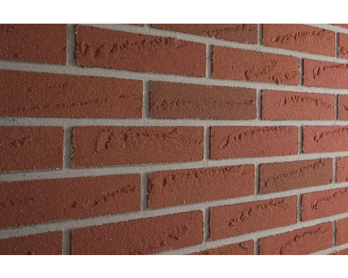 ELABRICK Steenstrip Oregon rood Wand met gevelstenen in baksteenformaat