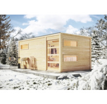 Modern houten tuinhuis in wintertuin