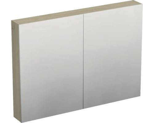 JUNGBORN Spiegelkast 2-deurs Trenta 100x72x14,4 cm kendal eiken naturel