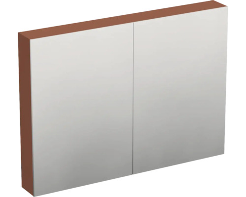 JUNGBORN Spiegelkast 2-deurs Trenta 100x72x14,4 cm cotto mat