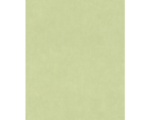 RASCH Vliesbehang 330052 Paraiso effen groen Effen achtergrond voor productvisualisatie