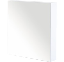Spiegelkast voor de badkamer