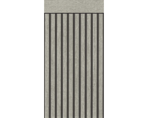 A.S. CRÉATION Vliesbehang 39744-2 wandpaneel grijs 500x106 cm Houten paneel met verticale stroken