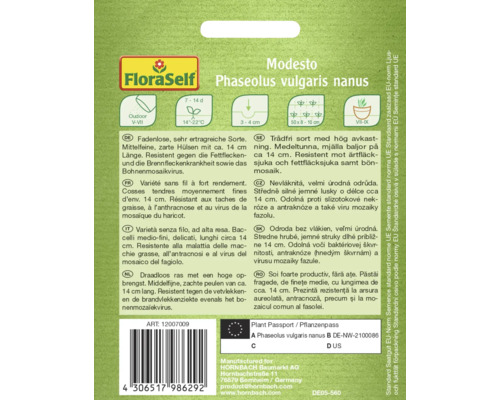 Zadenpakket Phaseolus vulgaris nanus Modesto