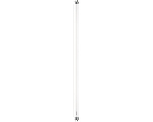 PHILIPS LED buis T8 G13/8W 600 mm neutraalwit Energiezuinige lamp in buisvorm