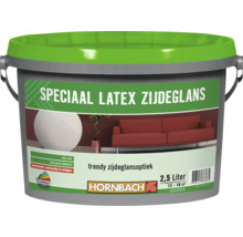 Emmer speciaal latex zijdeglans muurverf 2,5 liter