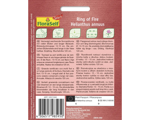 Ring of Fire Helianthus annuus plantenbeschrijving