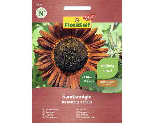 FLORASELF SELECT Bloemenzaden Zonnebloem Samtkönigin