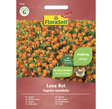 FloraSelf Tagetes Luna Rot zadenpakket