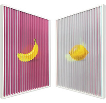 Schilderij met lijst Duo foto banaan/citroen 70x100 cm