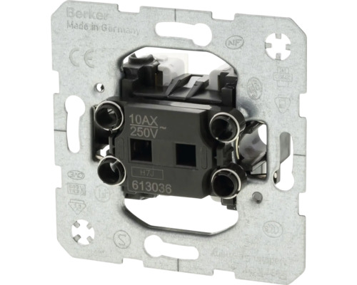 Berker schakelaar met 10AX 250V
