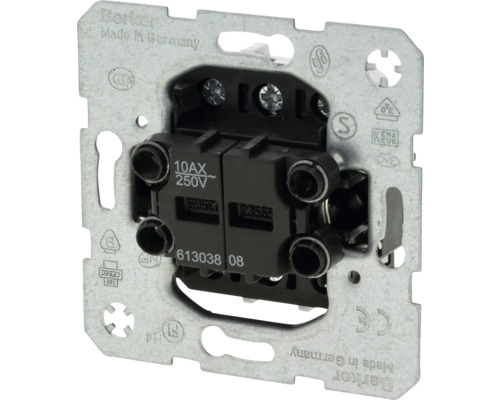 Berker serieschakelaarinzetstuk met 10AX 250V