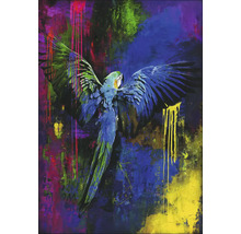 Schilderij van een papegaai met gespreide vleugels