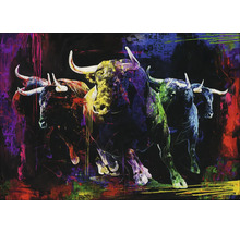 Schilderij met een groep stieren in verschillende kleuren