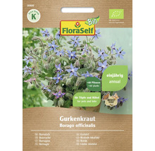 FloraSelf komkommerkruidzaadverpakking, Borago officinalis, geschikt voor potten en kuipen, eenjarig