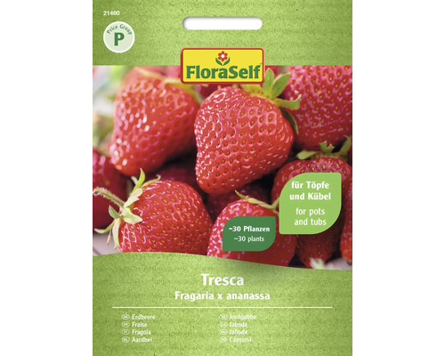 FLORASELF Groentezaden Aardbei Tresca 30 st. FLORASELF Groentezaden Aardbei Tresca 30 st.