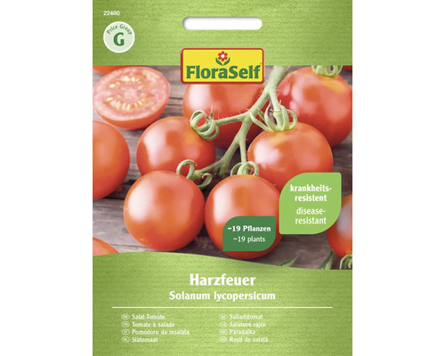 FLORASELF Groentezaden Tomaat Harzfeuer 19 st. FLORASELF Groentezaden Tomaat Harzfeuer 19 st.