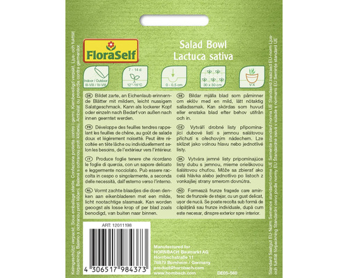 Salad Bowl zaad van de soort Lactuca sativa
