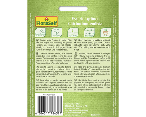 Escarole groene andijvie zaden verpakking