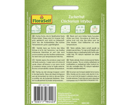 Zuckerhut Chichorium intybus zaadzakje