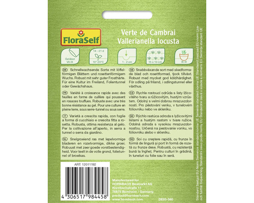 Verte de Cambrai veldsla zaden van FloraSelf