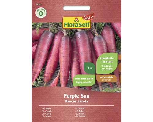 FLORASELF SELECT Groentezaden Wortel Purple Sun