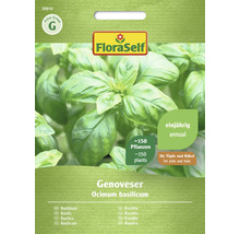 FloraSelf Basilicum Genoveser zadenpakket