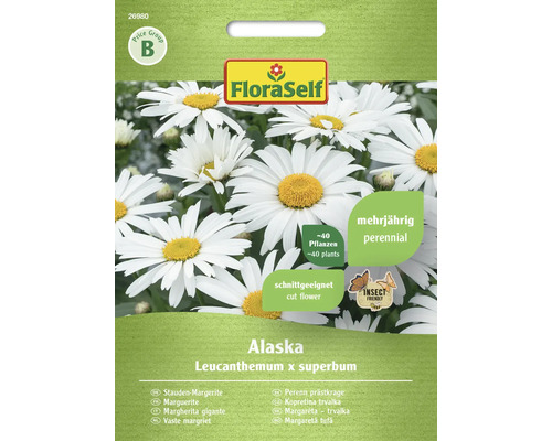 FLORASELF Bloemenzaden Struikmargriet Alaska