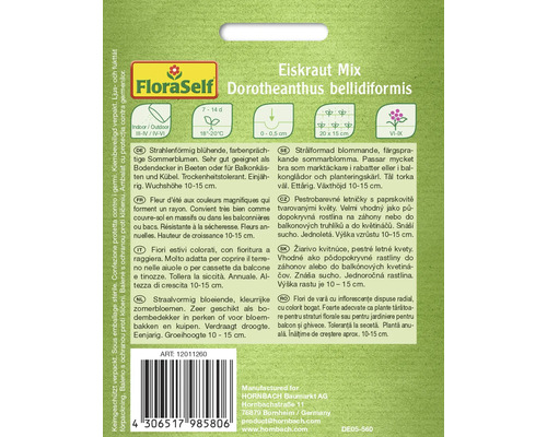 Verpakking ijskruid mix Dorotheanthus bellidiformis