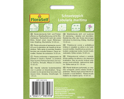 Verpakking sneeuwkleed Lobularia maritima