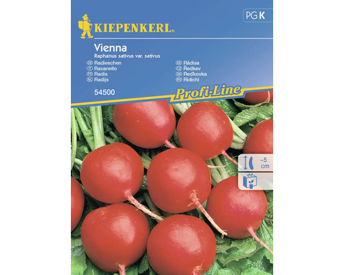 KIEPENKERL Groentezaden Radijs Vienna kopen! | HORNBACH