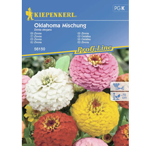Kiepenkerl Oklahoma Mischung Zinnia elegans bloemzadenpakket