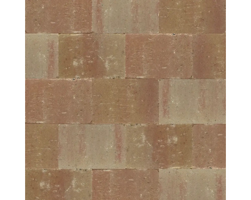 EXCLUTON Straatsteen Abbeystones getrommeld toscaans, 20x30x6 cm