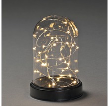 Decoratieve glazen stolp met lichtketting