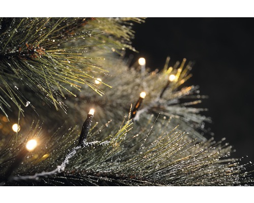 KONSTSMIDE Kerstverlichting LED uitbreiding lichtsnoer micro 100 lampjes extra warmwit 9,9 m Close-up van een lichtsnoer op een met sneeuw bedekte naaldboom