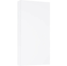 Witte kast