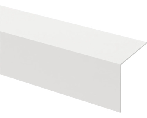 Hoekprofiel kunststof (b x d x l) 40 x 40 x 2600 mm Profielstrip