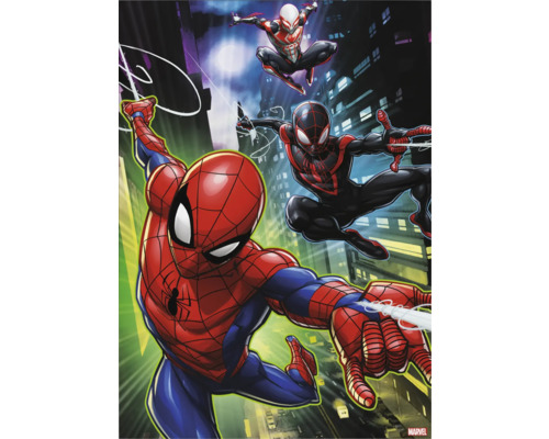 MARVEL Schilderij canvas Spider-Man & Friends 30x30 cm set van 3