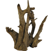 Wortelhout ter decoratie van aquaria