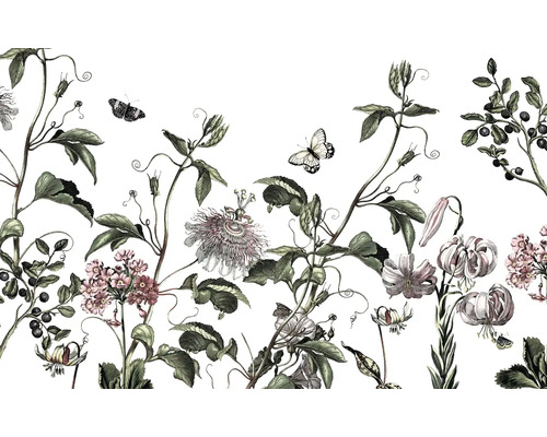 KOMAR Fotobehang vlies P266-VD4 Pure 2 Paradis de Papillons 400x250 cm KOMAR Fotobehang vlies P266-VD4 Pure 2 Paradis de Papillons 400x250 cm