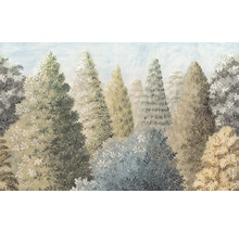 Illustratie van een bos met verschillende bomen
