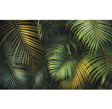 Close-up van groene palmbladeren