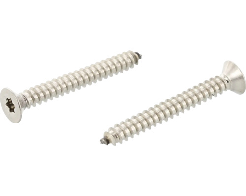 MARINETECH Plaatschroef 3,9x25 mm platverzonken kop TX15 RVS A4, 250 stuks